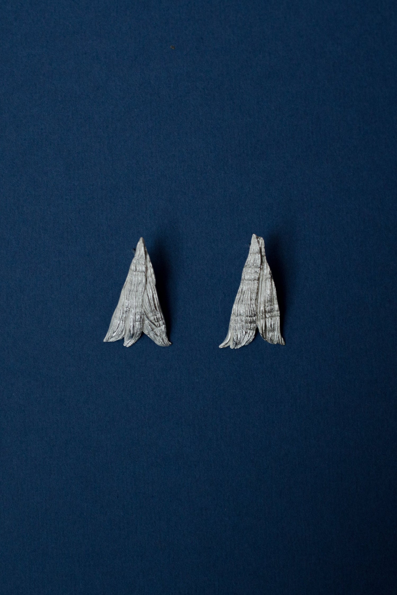 Narcizai ir vėduoklės