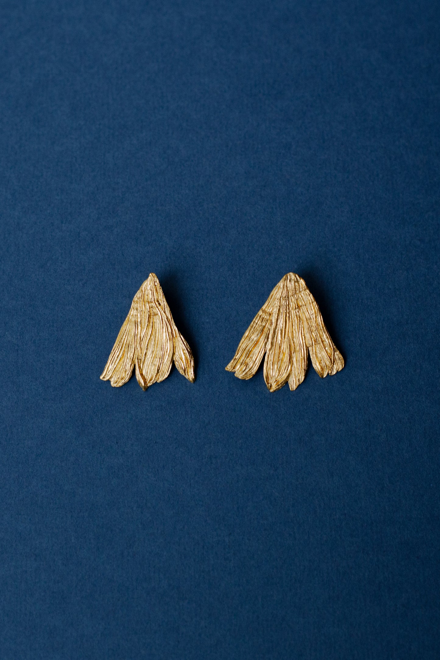 Plunksniniai debesys