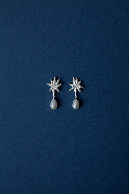 Žvaigždė ir perlas