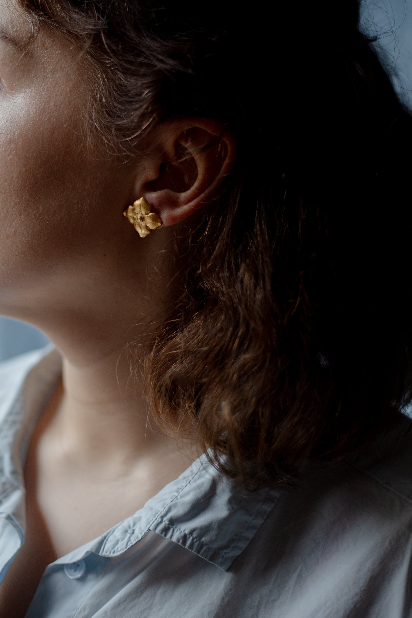 Sapnas apie sodą II